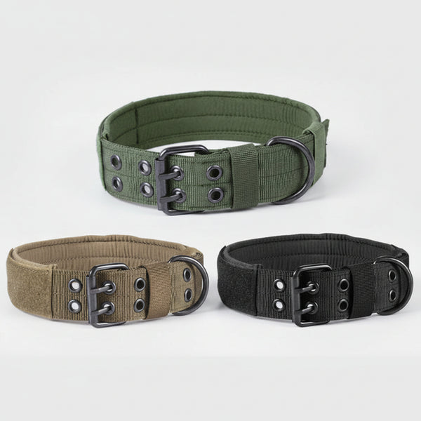 Dog Collar