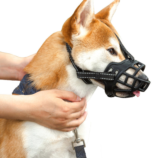 Dog wearing a black muzzle with a person adjusting it on a white background