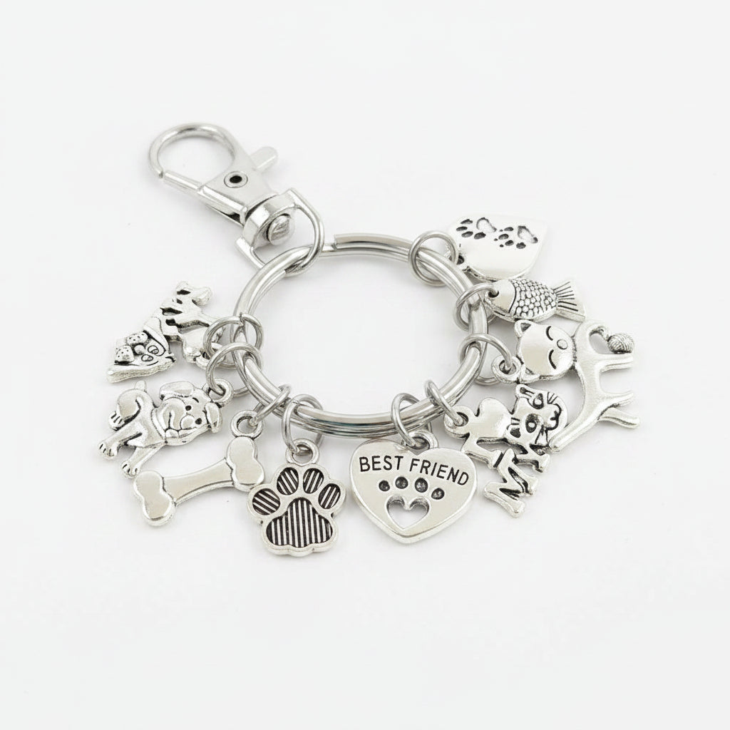 Silver keychain with various charms on a gray background