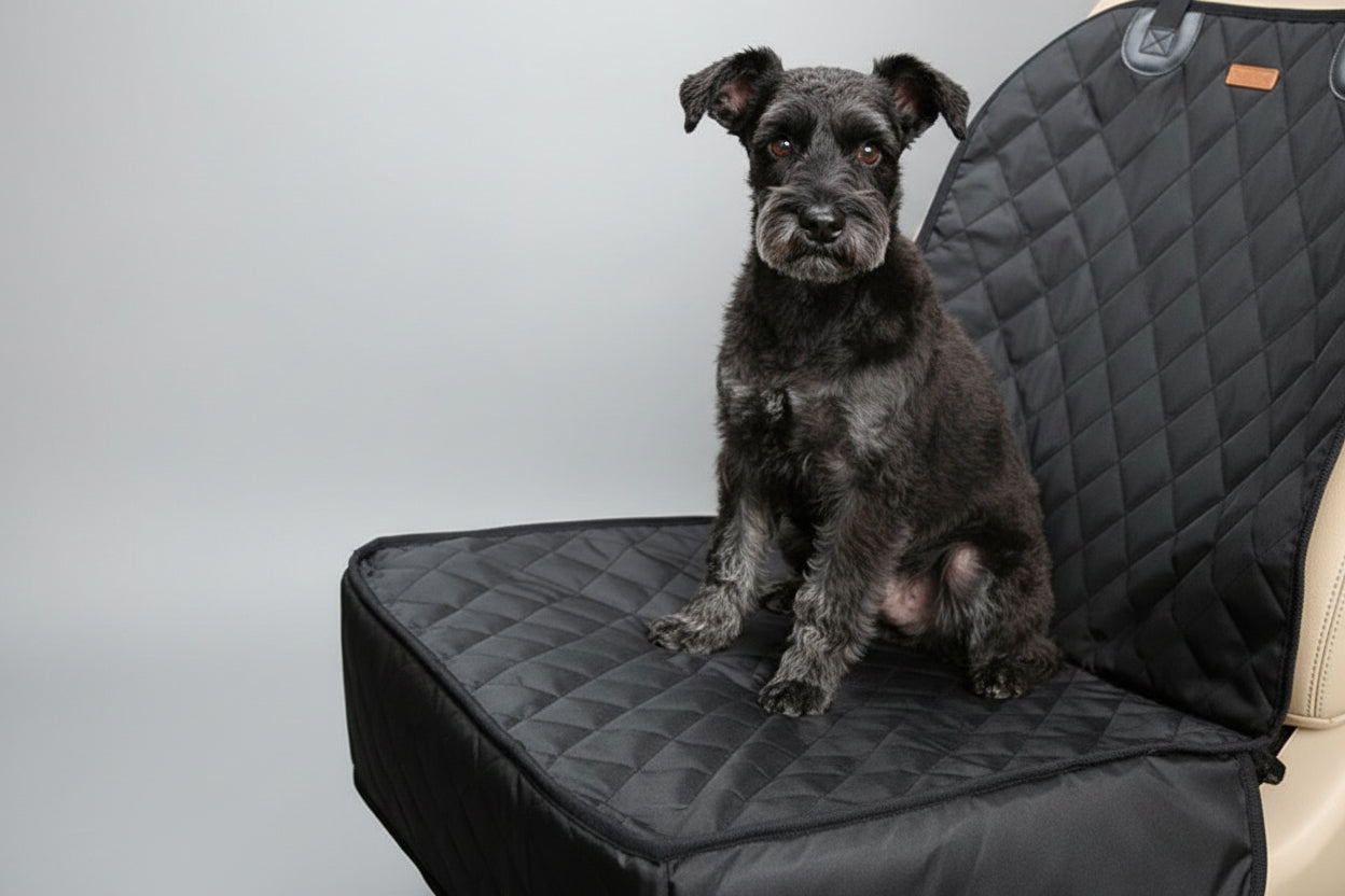 Dog sitting on a black car seat cover in a vehicle