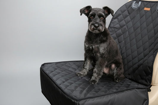 Dog sitting on a black car seat cover in a vehicle