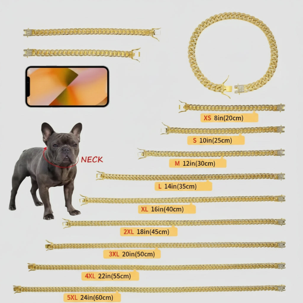 Gold chain necklace with size chart for dogs and a small dog model.