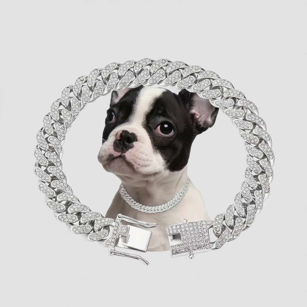 Dog wearing a large, ornate silver chain around its neck with a white background.