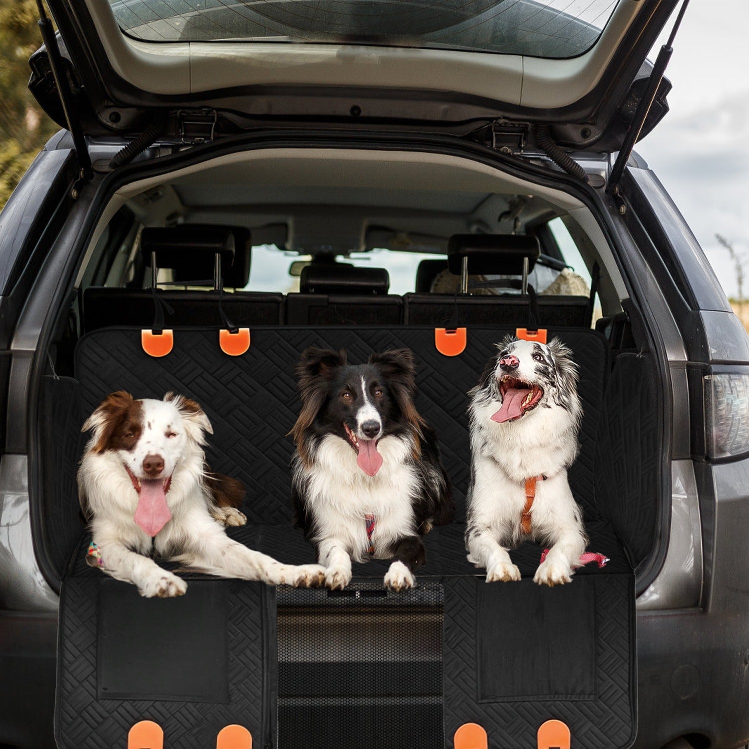 Three dogs sitting on a car trunk mat with open car doors.